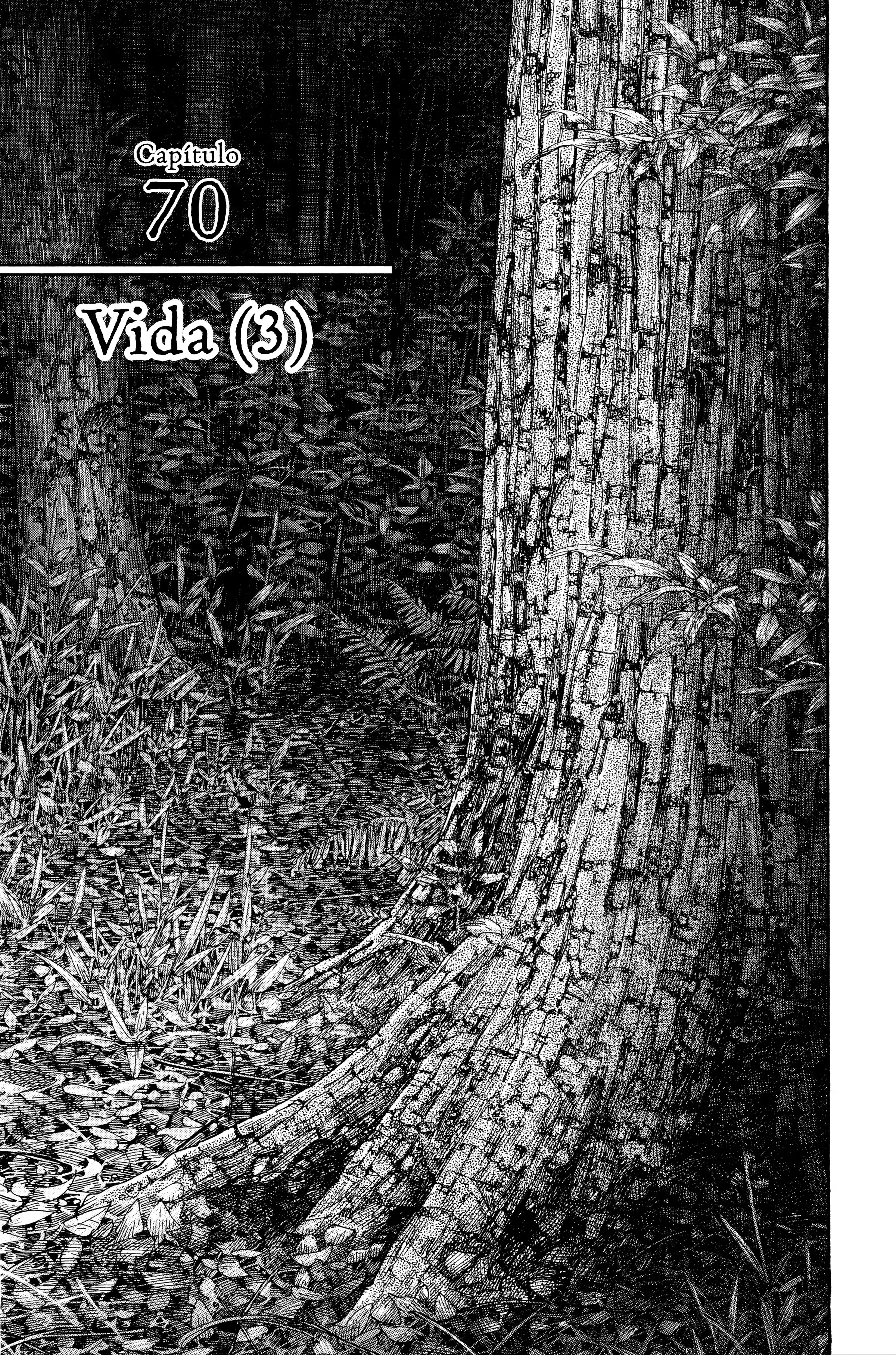 Vagabond, capítulo 70, página 2