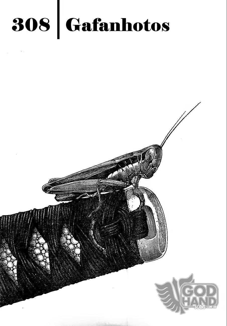 Vagabond, capítulo 308, página 2