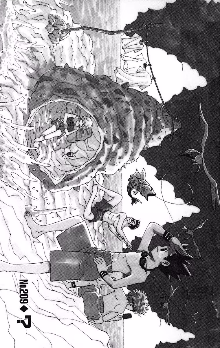 Hunter x Hunter, capítulo 209, página 2