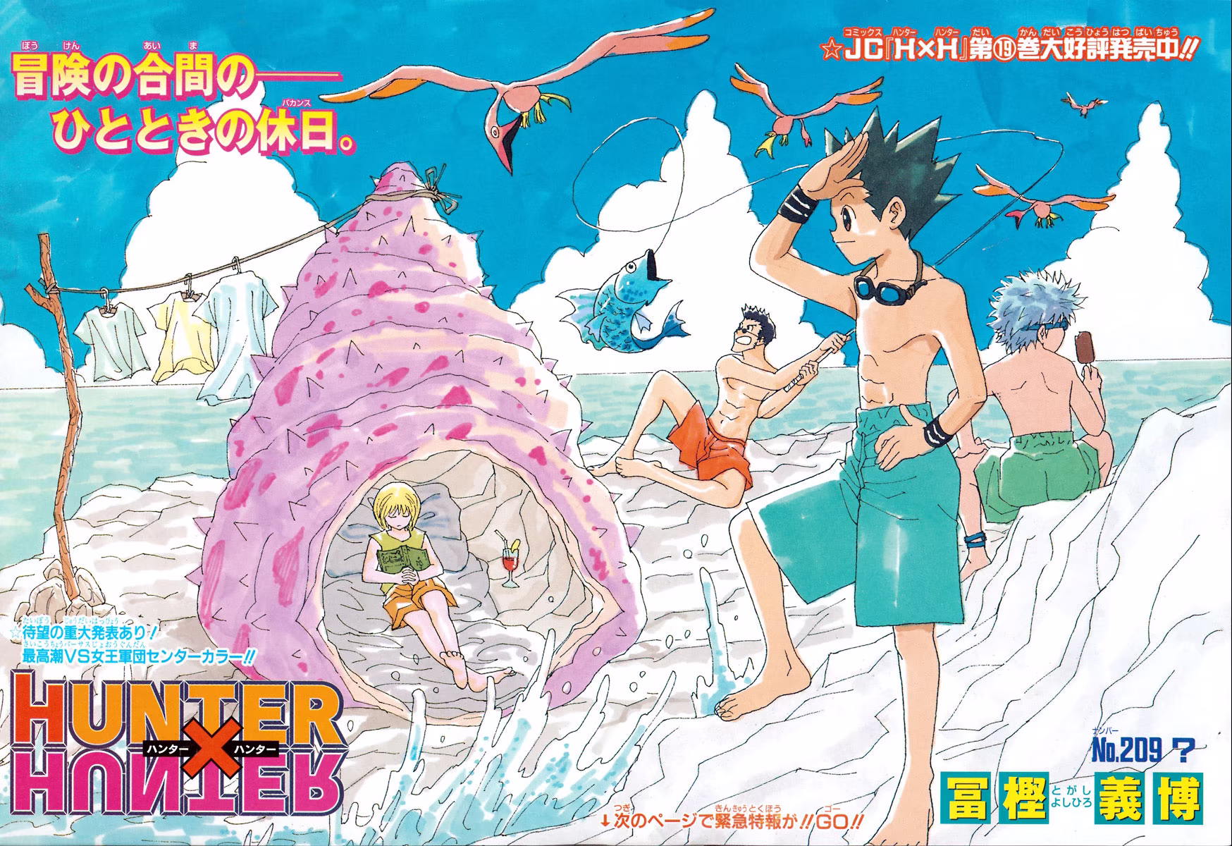 Hunter x Hunter, capítulo 209, página 3