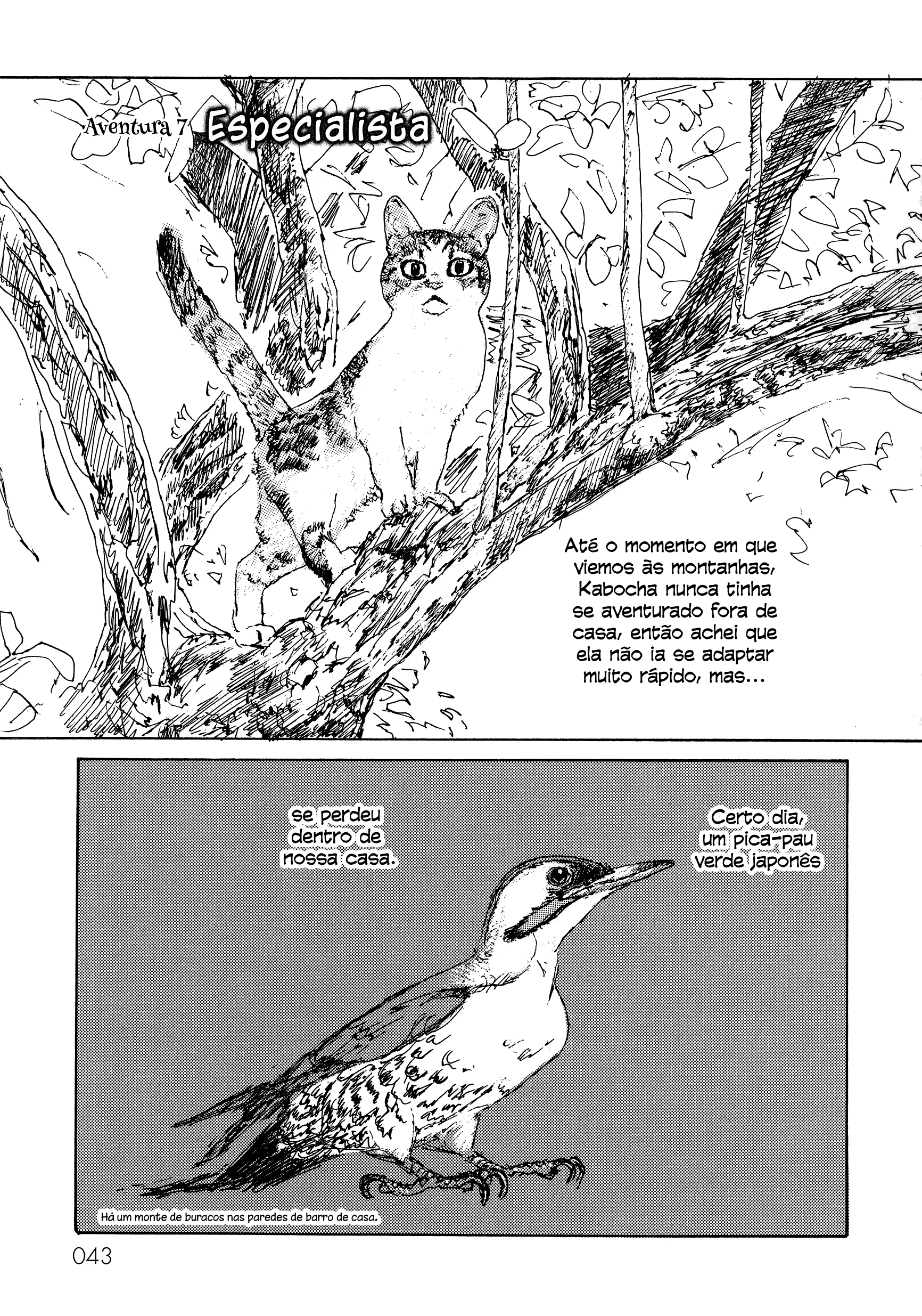 Kabocha's Adventure, capítulo 7, página 2