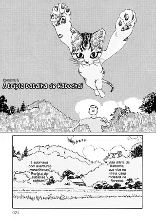 Página 2