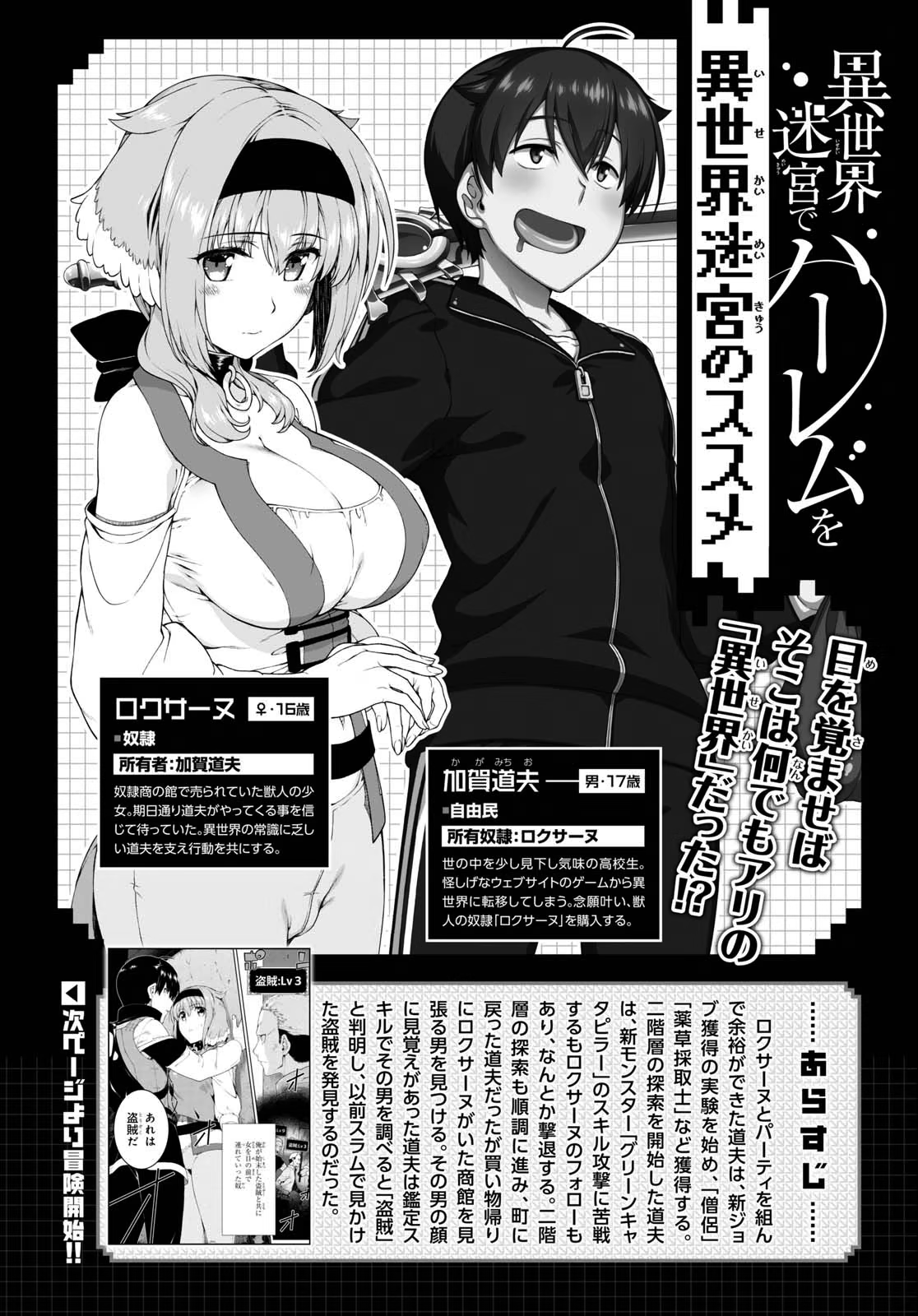 Isekai Meikyuu de Harem o, capítulo 19, página 3