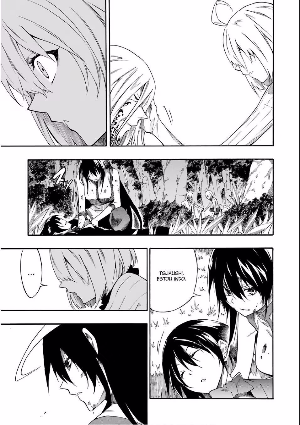 Akame ga KILL! Zero, capítulo 57, página 3