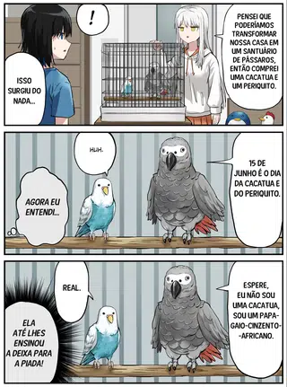 Página 3