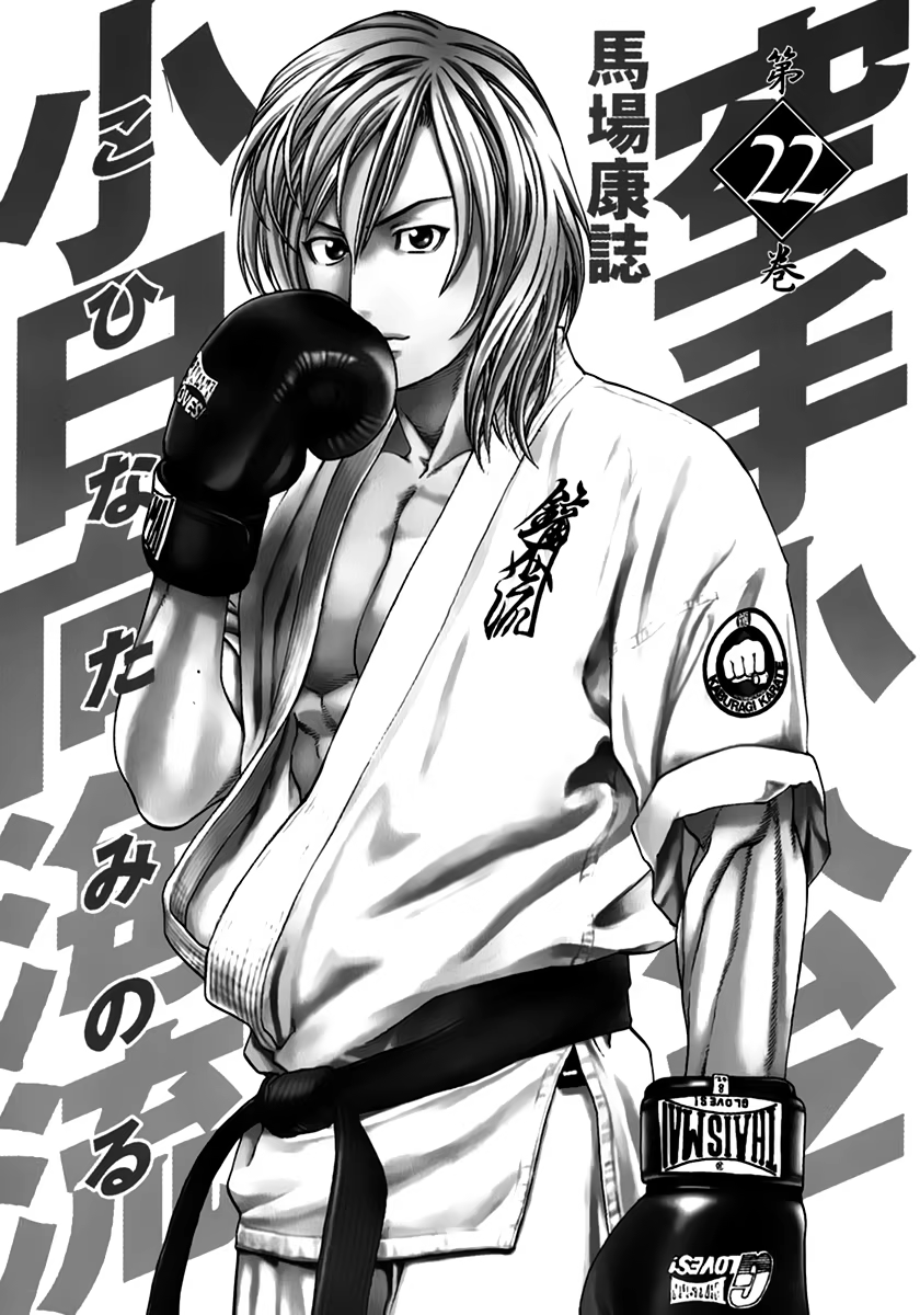 Karate Shoukoushi Kohinata Minoru, capítulo 227, página 3