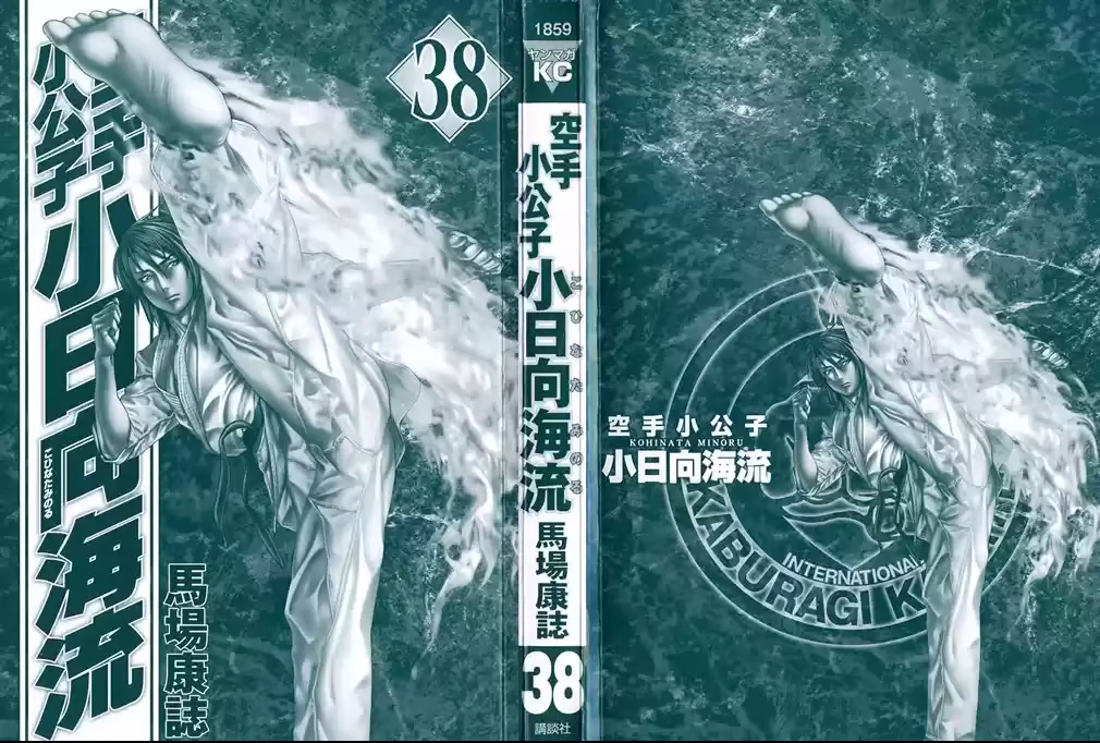 Karate Shoukoushi Kohinata Minoru, capítulo 382, página 2