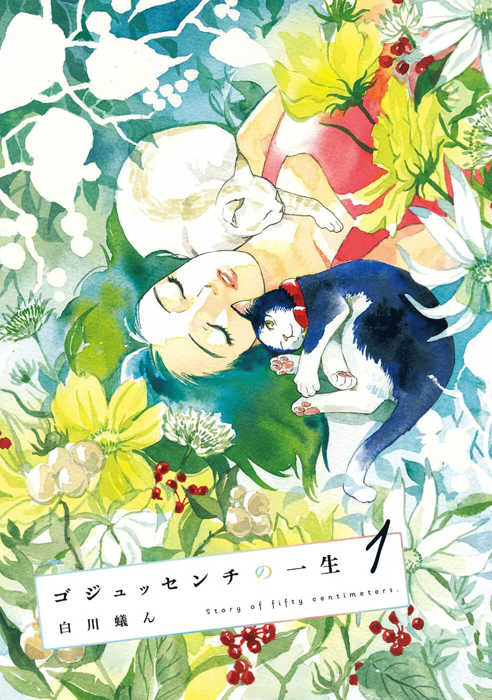50 senchi no Isshou, capítulo 1, página 2