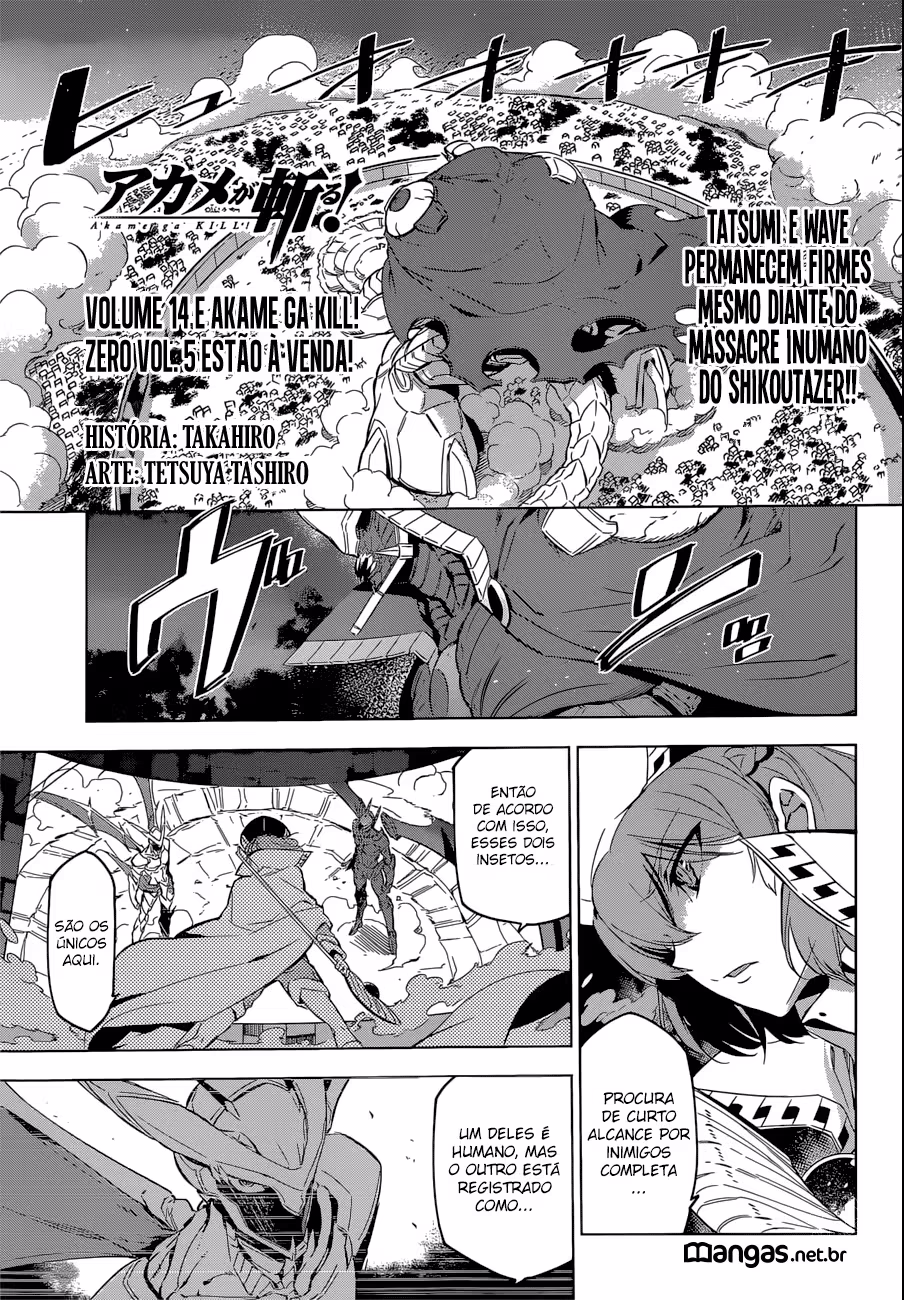 Akame ga KILL!, capítulo 74, página 2
