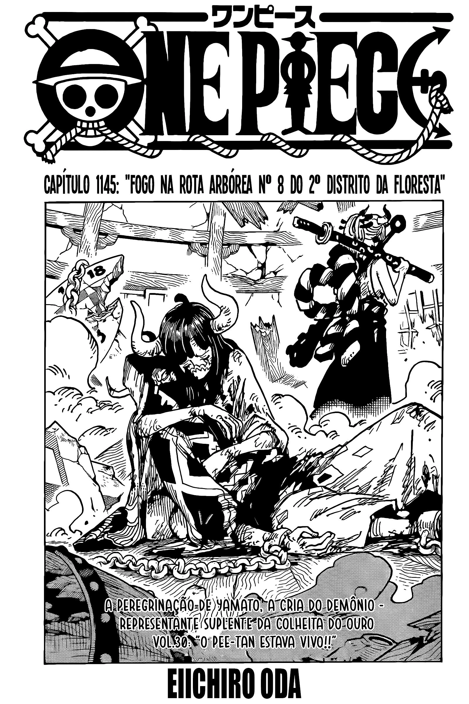 One Piece, capítulo 1145, página 4