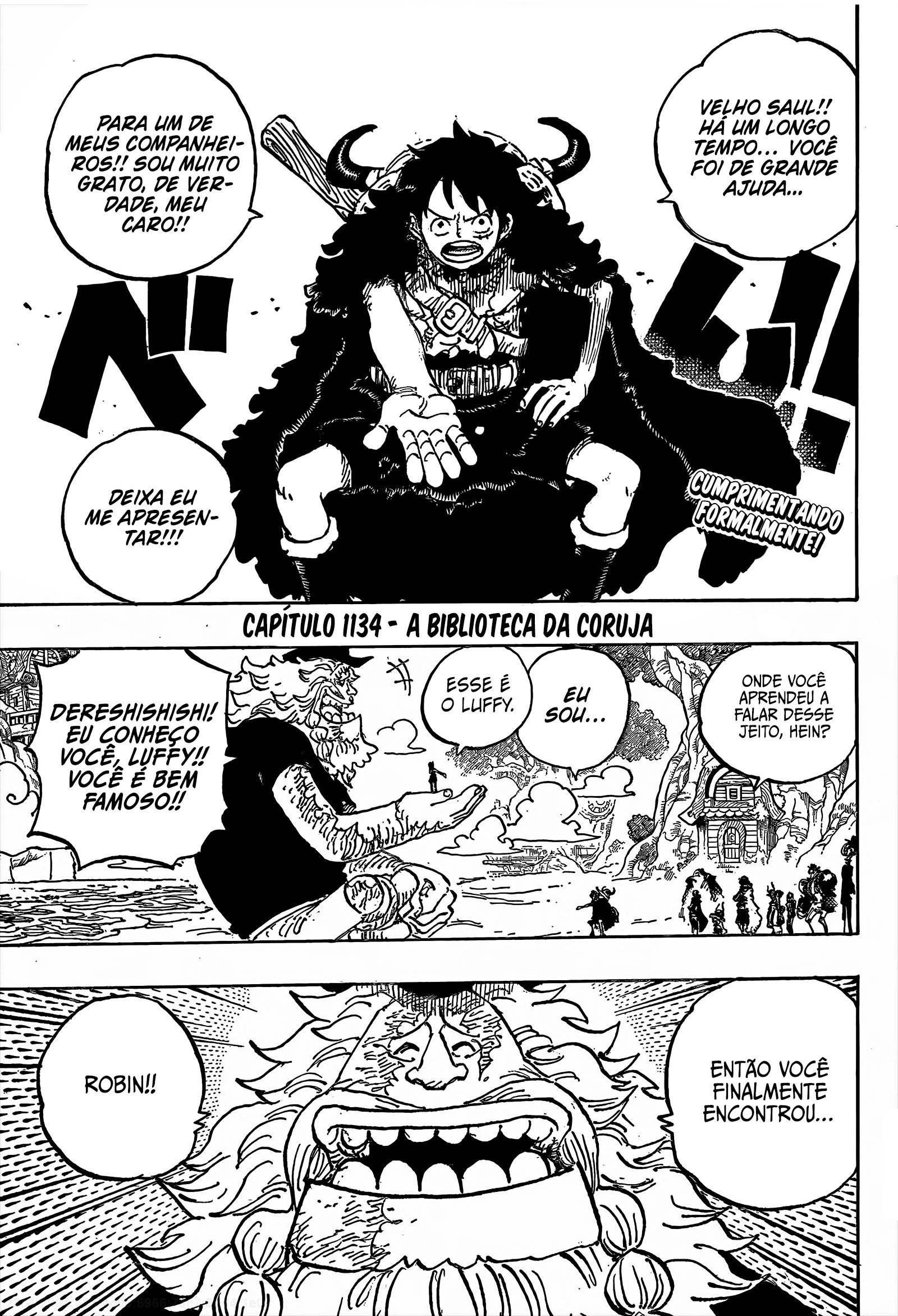 One Piece, capítulo 1134, página 3