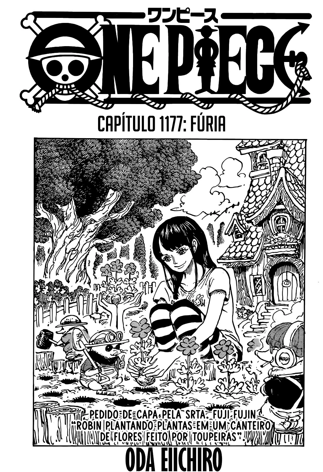 One Piece, capítulo 1177, página 2