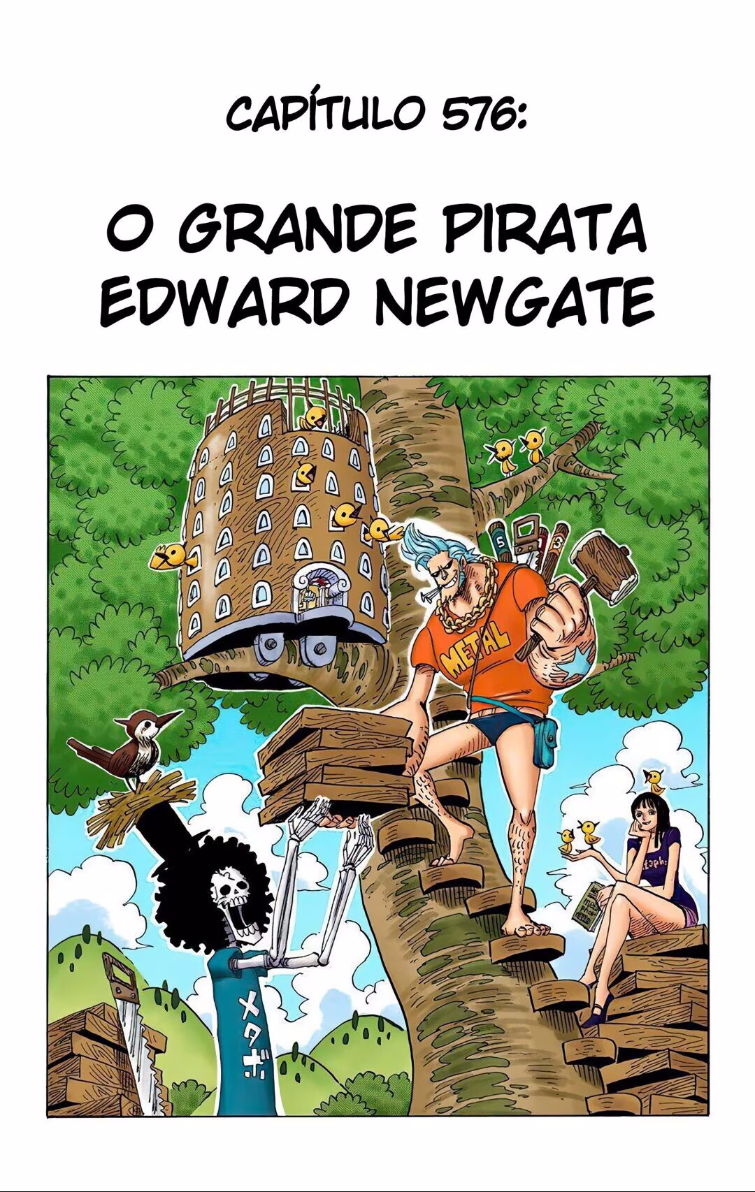 One Piece (Official Colored), capítulo 576, página 2