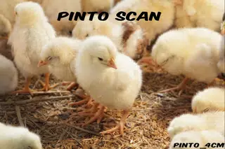 Página 1