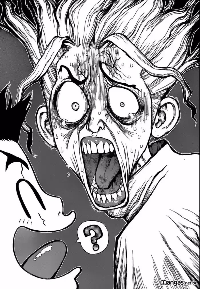 Dr.STONE, capítulo 5, página 2