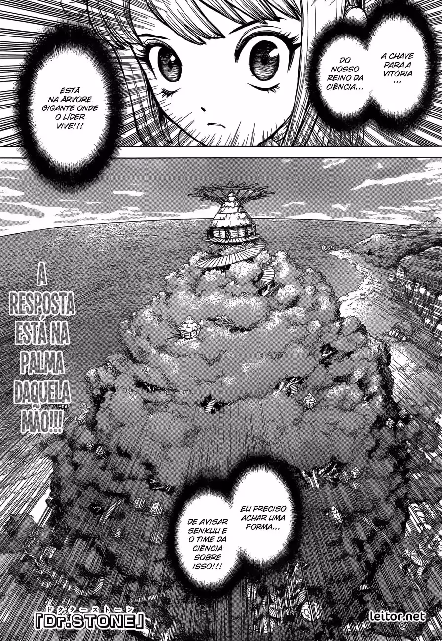 Dr.STONE, capítulo 113, página 2